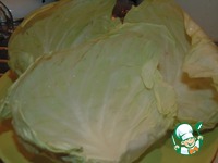 ������� ��� ���� �����������