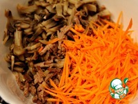 ����� ������ ����� �����������