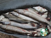 ���� � ������� �������� �� ����� �����������