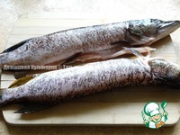 ���� � ������� �������� �� ����� �����������