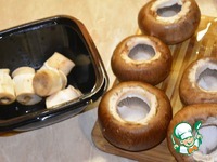 ���������� � �����-������� �������� �����������