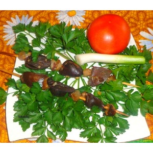 ������ �� ������� �������� � ������������ ���