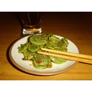 ���������� "���������" ��-��������