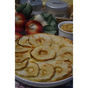 ������� ���������