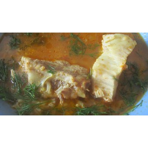 ����� ��-���������