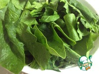 ������� "�������" �����������