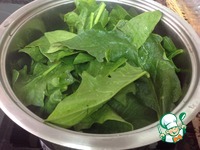 ������� "�������" �����������