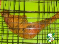 ������� ����� � �������� �� ������� �����������