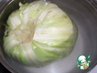 ������� "�����������" � �������� �����������