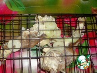 ������� ������ � ������� �����������