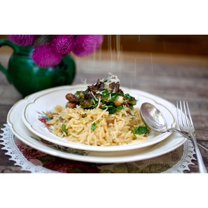 ������� ������� �� ������ �������