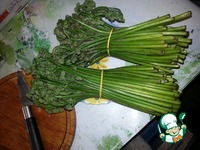 ��������� � ����� "��������" �����������