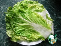 ������� � �������� ���� �����������