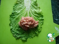 ������� � �������� ���� �����������