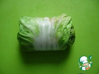 ������� � �������� ���� �����������