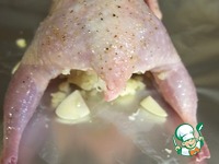 ��������� � ���������� �����������