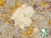 ������ �� �����-������� �������� �����������