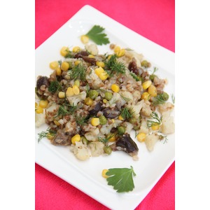 ������������ ��������� ����