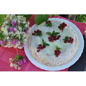 ������ "��������� ��������"