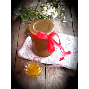 ��������-������������ ����