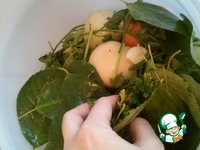 �������� ������� �������� �����������