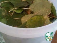 �������� ������� �������� �����������