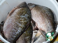 ������ �� ������� � ������� � ����� ������ �����������