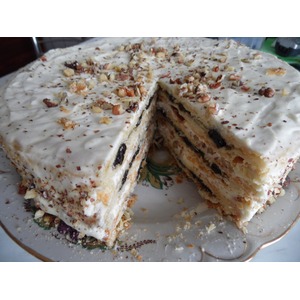 ���� "��������" ��������