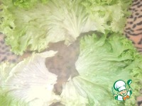 ��������� ����� ������� �� ������ "������" �����������