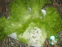 ��������� ����� ������� �� ������ "������" �����������