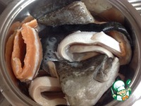 ������������ ������ ���������� "�����" �����������