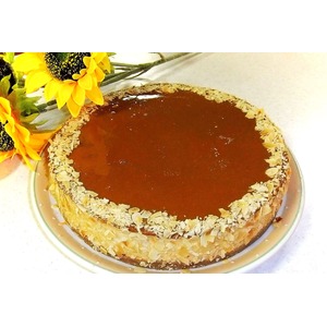 ������� "����-�����"