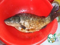 ���� ���������� ������������� �����������