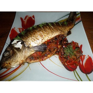 ���� ���������� �������������