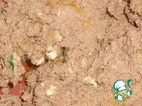 ������ �� ������� ������������ �����������