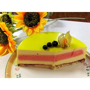 ���� "�������-����������"