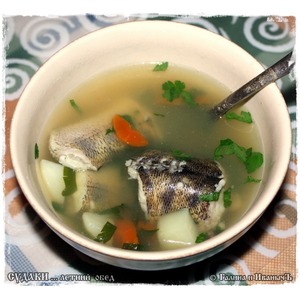 ������ "������ ����"