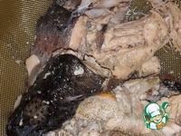 ��� "���������" �����������