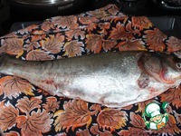 ����, ���������� � ���� �����������