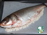 ����, ���������� � ���� �����������