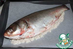 Рыба в соли в духовке: лучшие варианты приготавлени фламбе