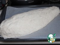 ����, ���������� � ���� �����������