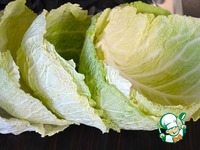 ������� �� �������� �����������