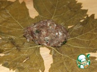 ����� �����������