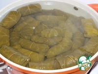 ����� �����������