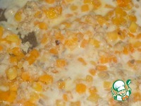 �����-��������� ������ �����������