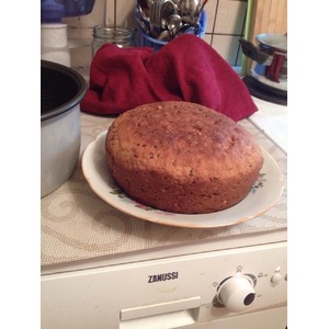 �����-��������� ���� � �����������