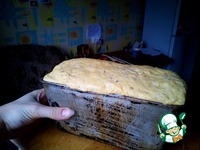 ��������� ���� �� �������� "��������" �����������