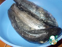 �����, ���������� � ����� �����������