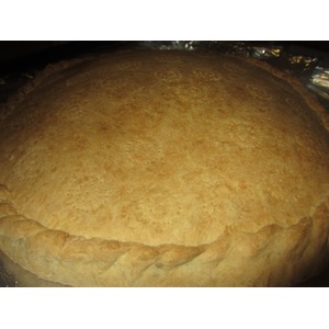 ����� "��������"